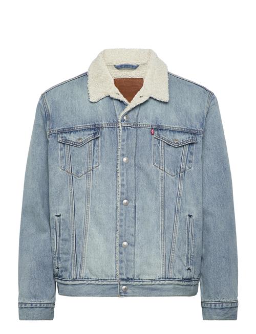 Levi's® | Type 3 Sherpa Trucker Kentucky | L