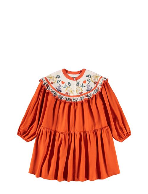 Molo | Cibbe | 146/152