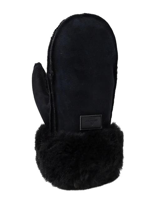 Shepherd | Furuvik Tumvantar | 8