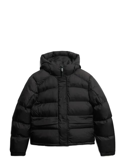 Superdry Sport | Hooded Tech Padded Jkt | S