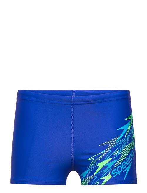 Speedo | Medley Logo Aquashort | 164