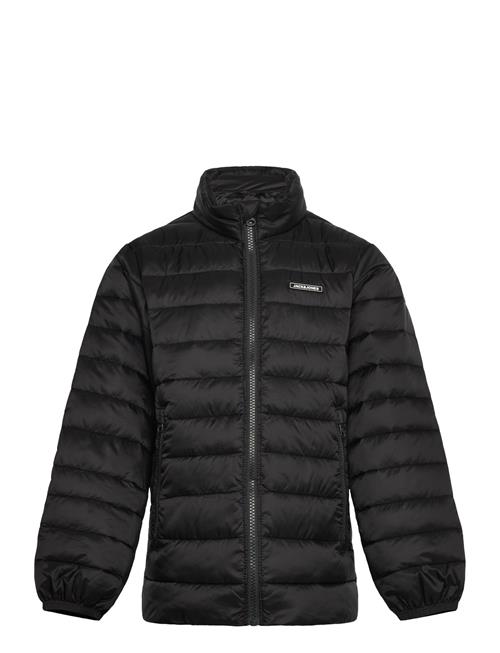 Jack & Jones | Jjlouis Light Puffer Collar Jnr | 164