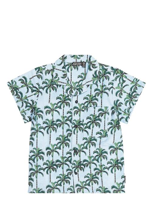 TUMBLE 'N DRY | Tnd Palm Island | 98