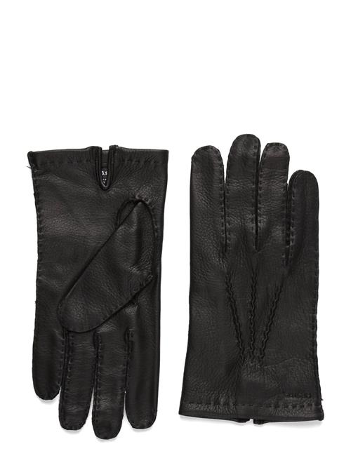 Hestra | Henry Cork | 8