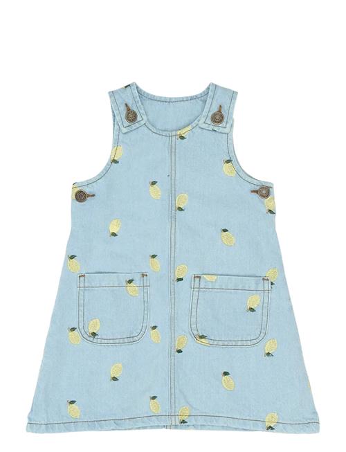 The New | Tnstsaja S_L Denim Dress | 98