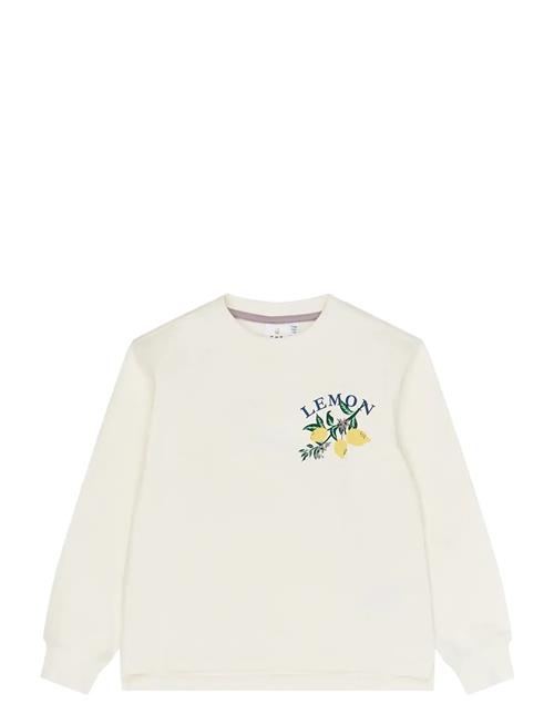 The New | Tnsafina Sweatshirt | 122/128