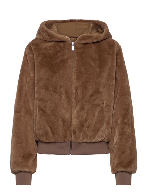 Saint Tropez | Zaseanasz Jacket | XL