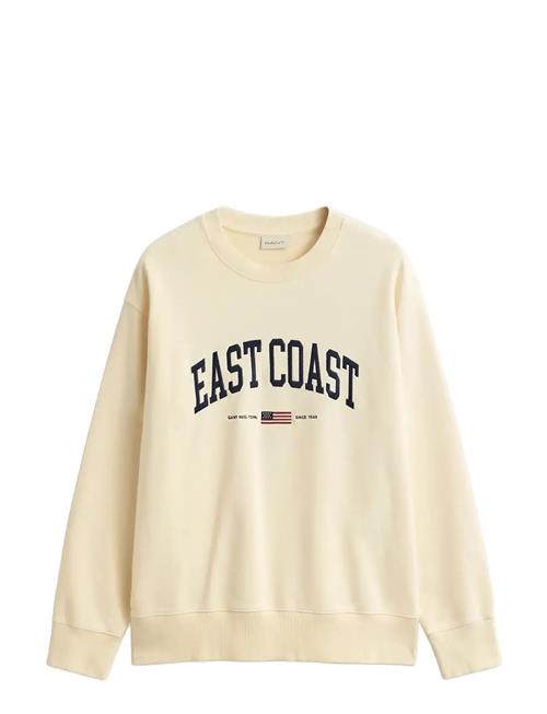 GANT | Spray Graphic C-Neck | XXL