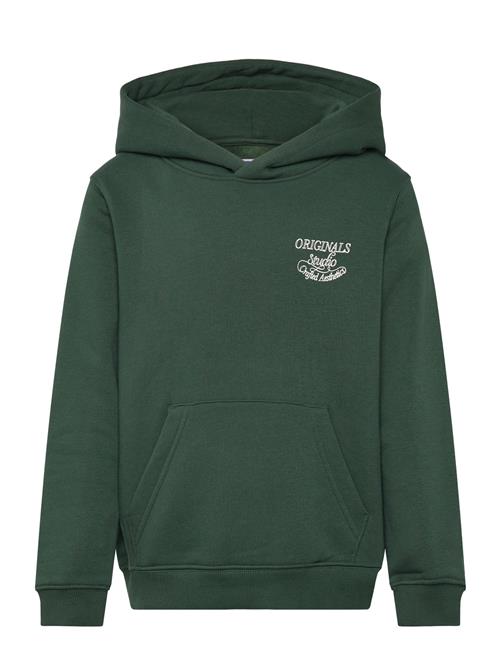 Jack & Jones | Jorniagara Typo Sweat Hood Jnr | 176
