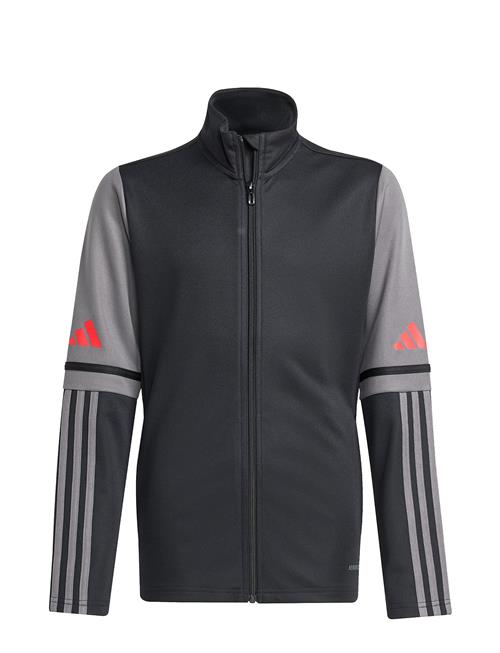 adidas Performance | Sq25 Tr Jkt Y | 164