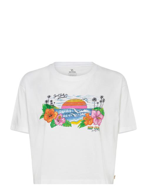 Rip Curl | Sun Rays Cropped Tee | M