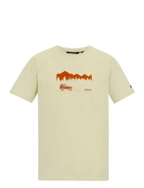 Regatta | Cline Ix | L