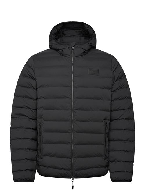 EA7 | Bomber Jacket | XXL