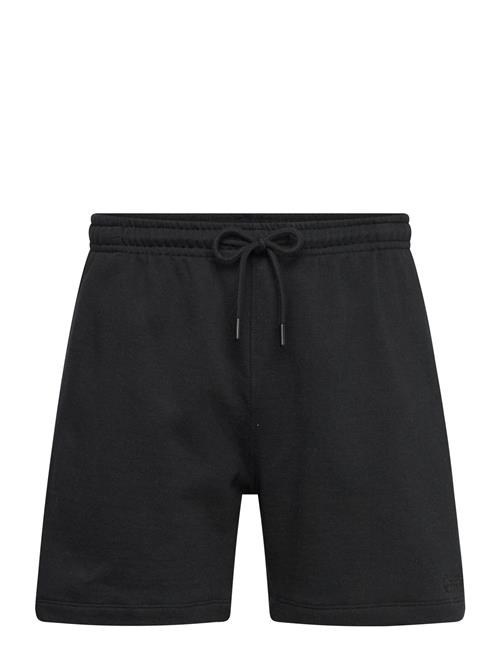 7 DAYS Active | Organic Sweatshorts | M