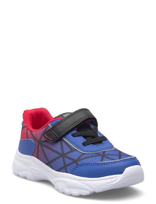 PAX | Tango Pax | 25