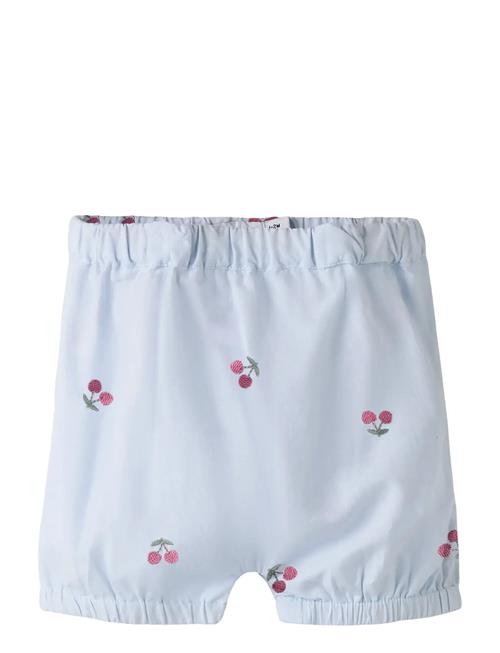 name it | Nbfferilla Bloomer | 62