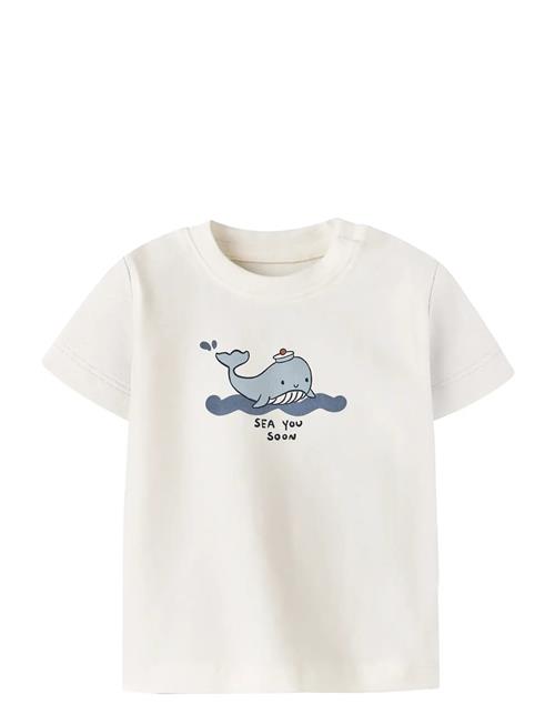 name it | Nbmfallon Ss Top Box | 68