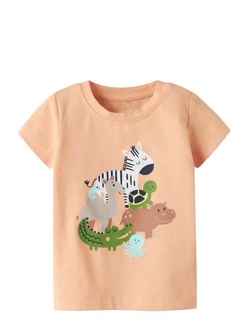 name it | Nbmfartil Ss Top Box | 74