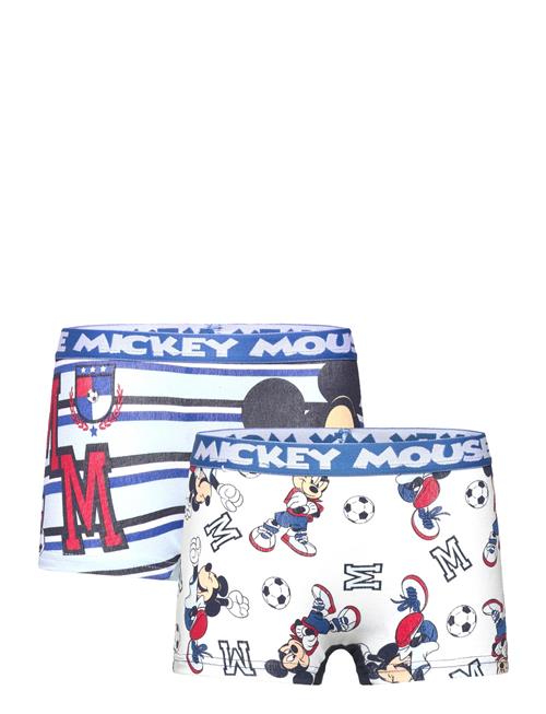 Disney | Boxer | 110/116