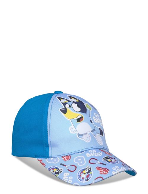 Bluey | Cap | 52