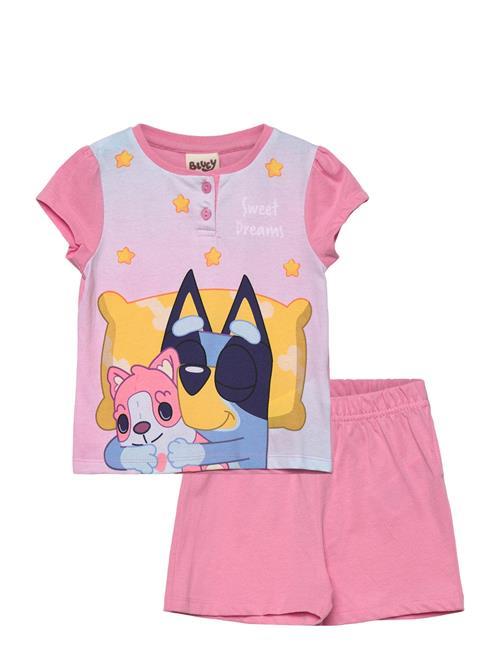 Bluey | Pyjama | 104