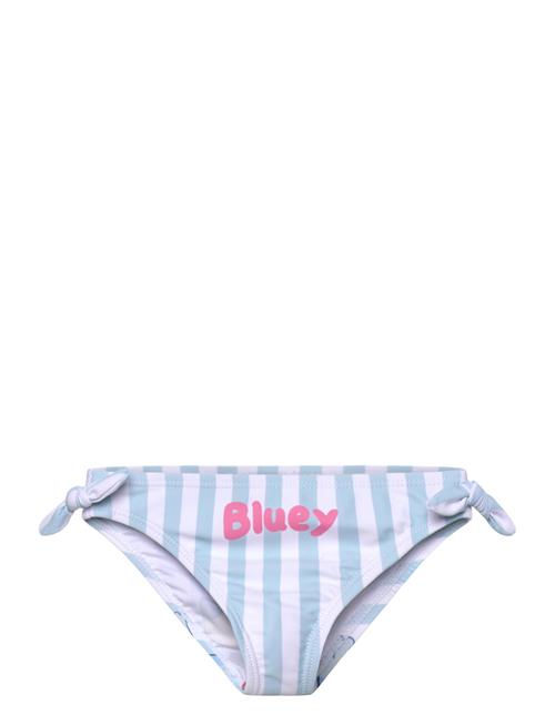 Bluey | Swimwear | 104