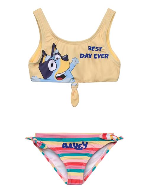 Bluey | Swimwear | 98