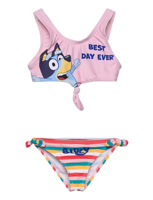 Bluey | Swimwear | 110