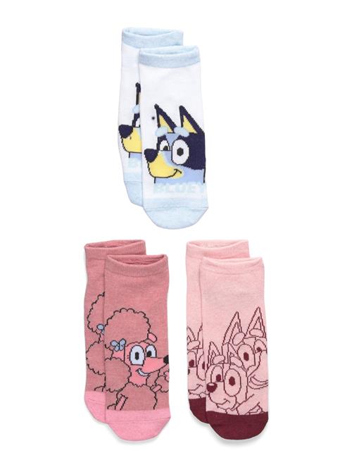 Bluey | Socks | 31/34