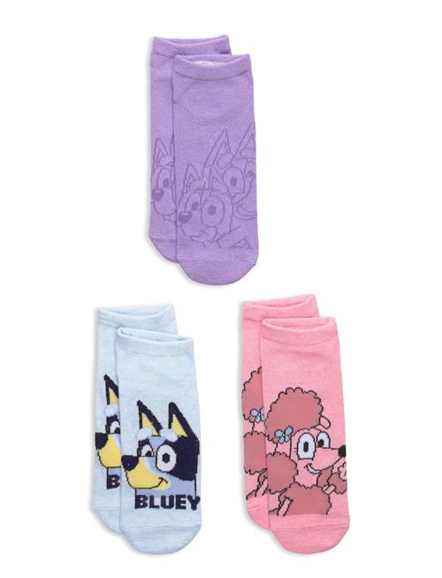 Bluey | Socks | 31/34