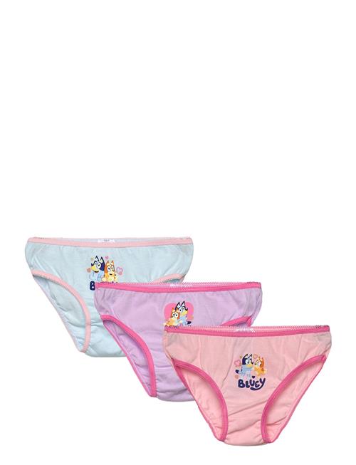 Bluey | Slip | 110/116