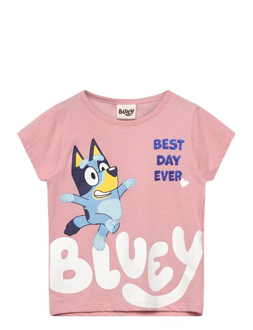 Bluey | Tshirt | 104
