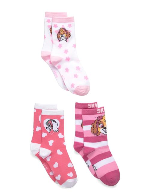 Paw Patrol | Socks | 23/26