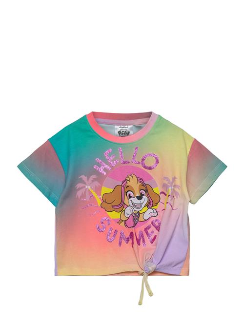 Paw Patrol | Tshirt | 98