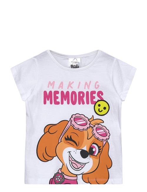 Paw Patrol | Tshirt | 104