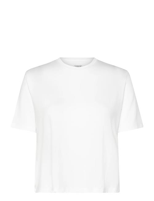 Organic Basics | Soft Touch Boxy Tee | XS