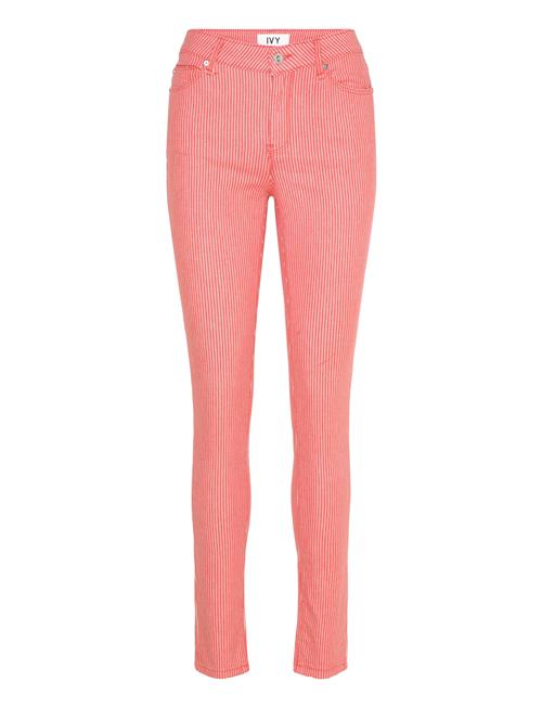IVY Copenhagen | Ivy-Alexa Jeans Flame Red Striped | 29 x 30