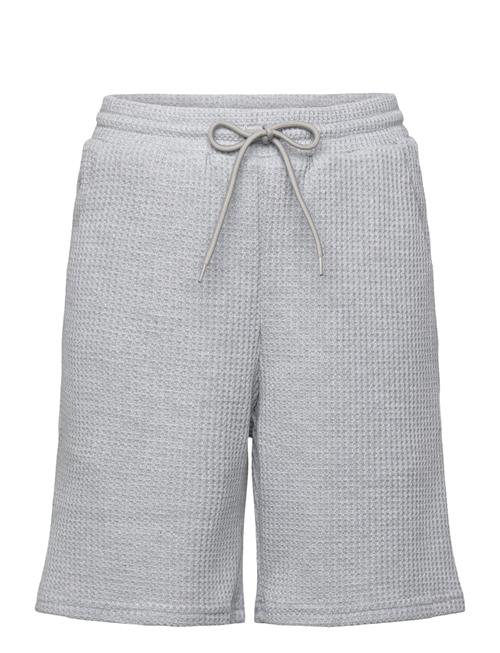 Grunt | Ali Shorts | L/14Y