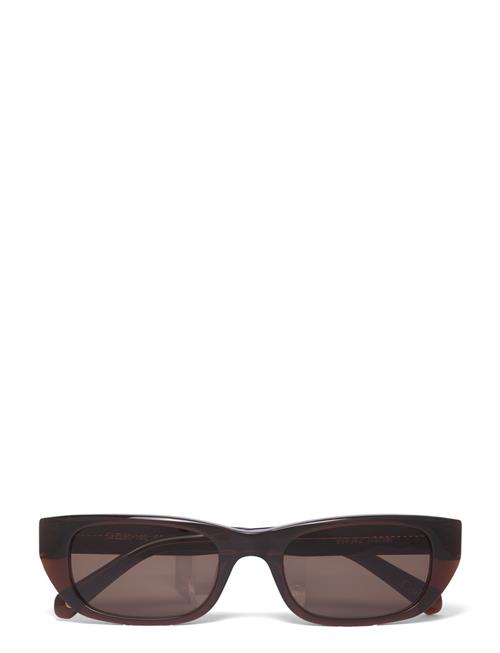 Corlin Eyewear | Marcel Brown Brown | ONE SIZE