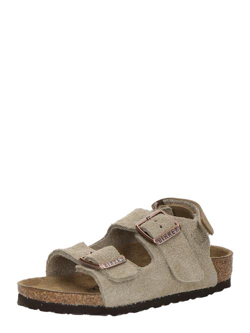 BIRKENSTOCK Åbne sko 'Milano'  taupe