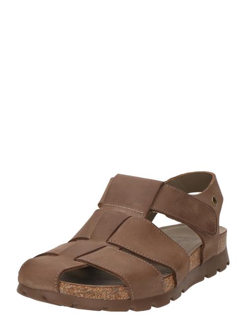 PANAMA JACK Sandaler 'Stanley C8'  taupe