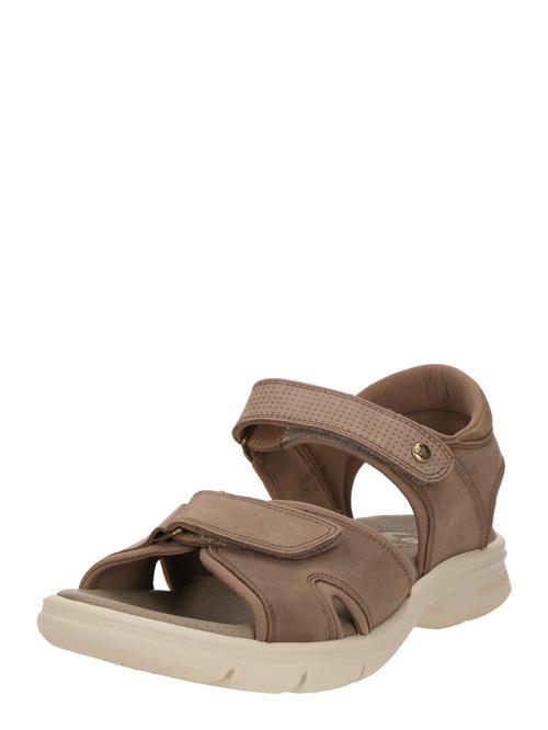 PANAMA JACK Sandaler 'Sanders C22'  taupe