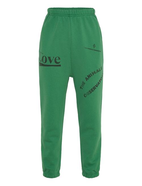 THE ANIMALS OBSERVATORY | Dromedary Kid Sweatpants Green | 6 Y