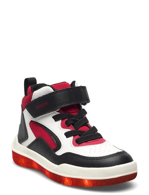 GEOX | J Buzzerlight Boy C | 26