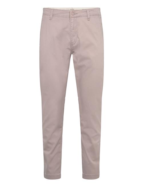 Levi's® | Xx Chino Std Ii Fawn Cotton Li | 30 x 30