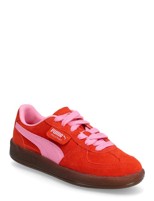 PUMA | Palermo | 39