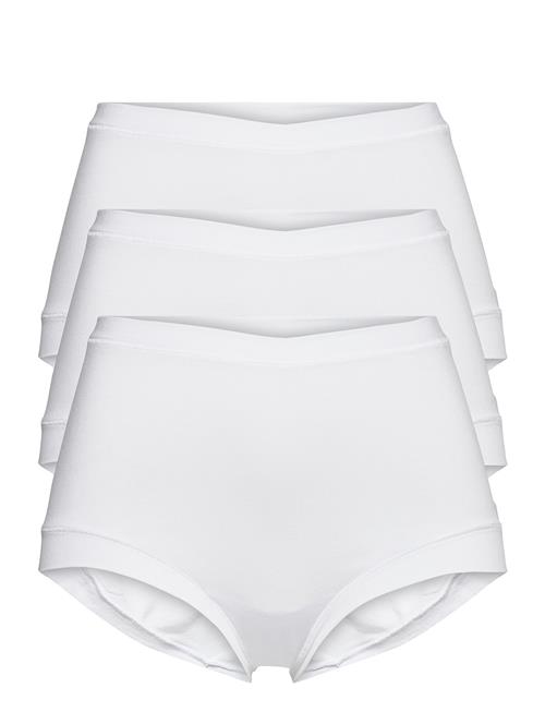 JBS of Denmark | Jbs Of Dk 3-Pack Maxi | XS