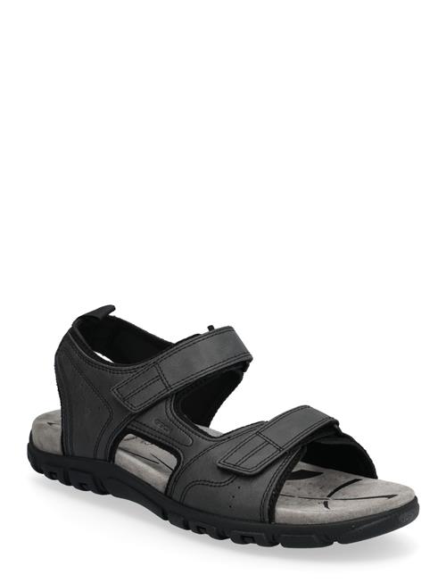 GEOX | Uomo Sandal Strada B | 40