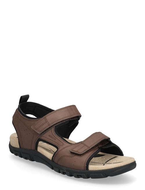GEOX | Uomo Sandal Strada B | 45
