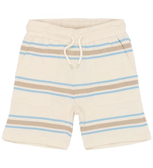 The New Shorts - TnThor - Multi Striped